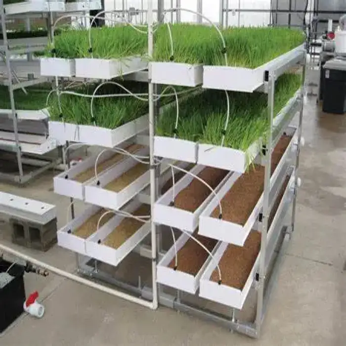 smart hydroponics fodder systems for greenhouse agricultural farm