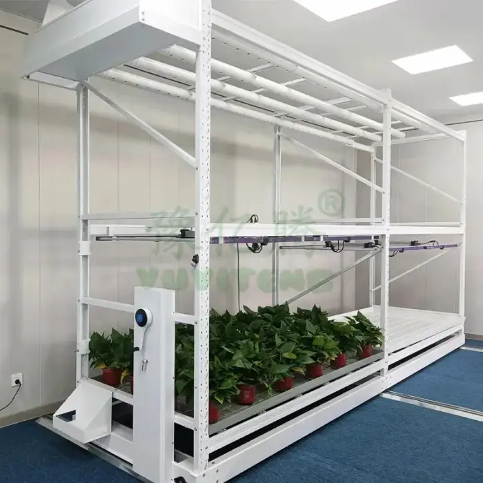 Indoor Farm Rack Growing Vertical Hydroponic System