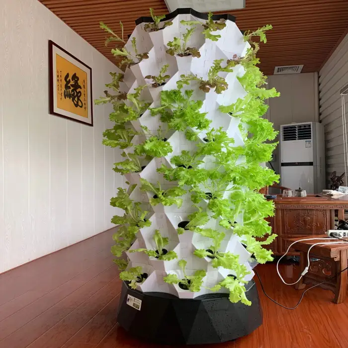 10 Layer Growing Tower