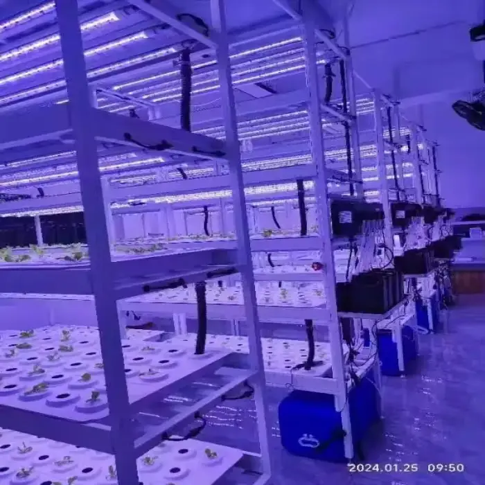 vertical farm hydroponic tower system aeroponic growing towers  indoor planting greenhouse agricultural equipment tower garden