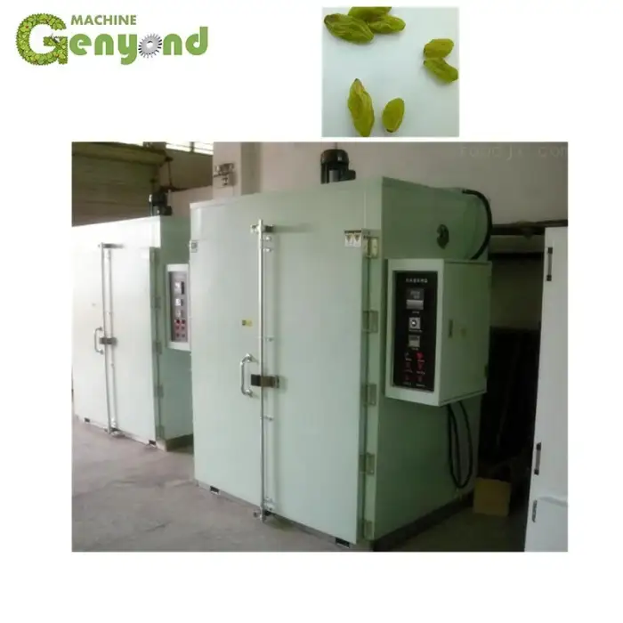 Industrial dehydrated fruit vegetable Hot air cabinet Dehydrator dryer oven grape drying machine