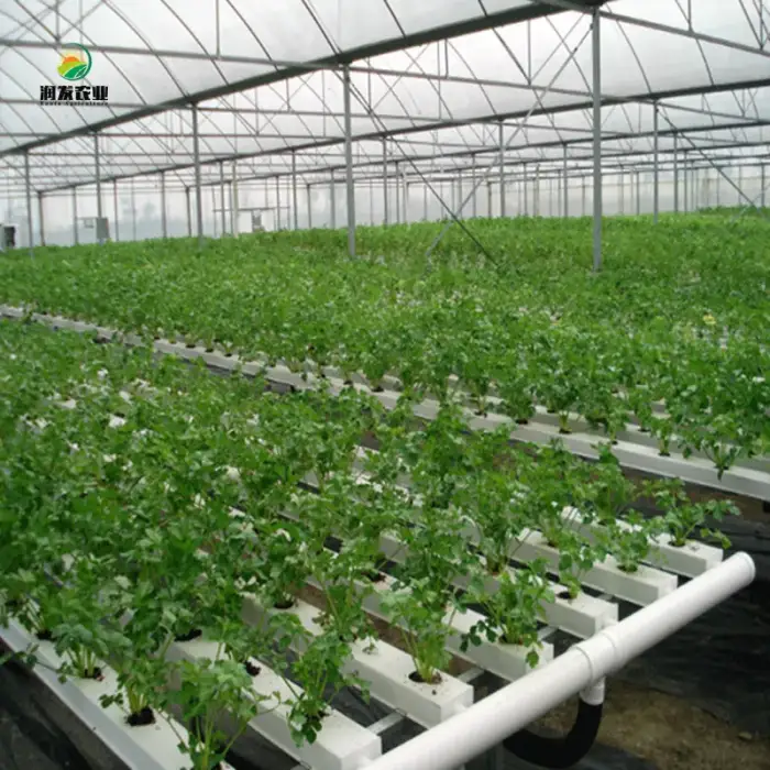 Kit Hydroponics System NFT Vertical Hydroponics Growing System Equipment Tiled Pipeline Hydroponics