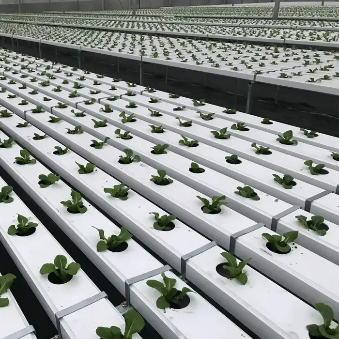 Vegetable Greenhouse NFT Hydroponics PVC Channel Planting System Growing Indoor Food Grade Nft Channel