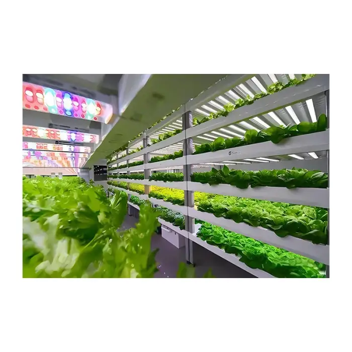 40FT Hydroponic Vertical System Shipping Container for Vegetable Growing Container Room Plant Agricultural