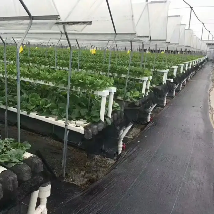 Vegetable Greenhouse NFT Hydroponics PVC Channel Planting System Growing Indoor Food Grade Nft Channel