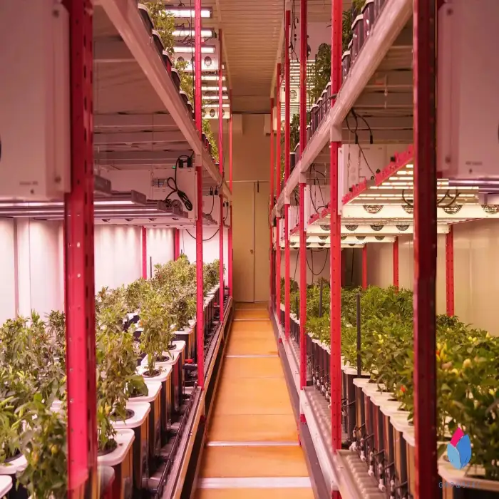 Agriculture Greenhouse Aeroponics System Container Farm Indoor Vertical Farming Growing  Machine