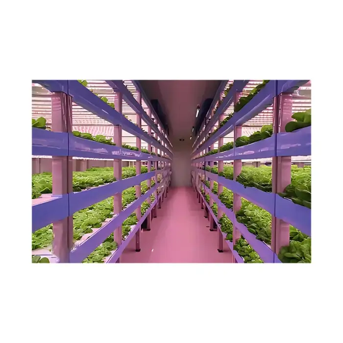 40FT Hydroponic Vertical System Shipping Container for Vegetable Growing Container Room Plant Agricultural