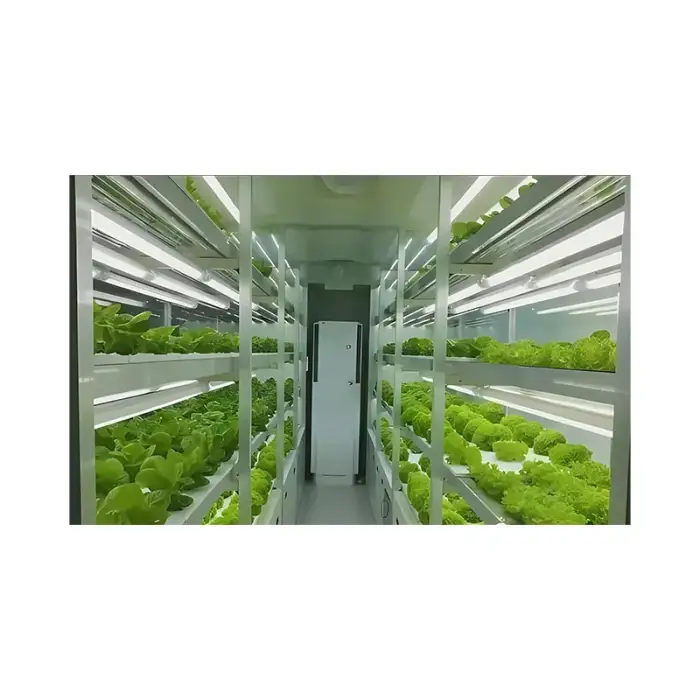 40FT Hydroponic Vertical System Shipping Container for Vegetable Growing Container Room Plant Agricultural