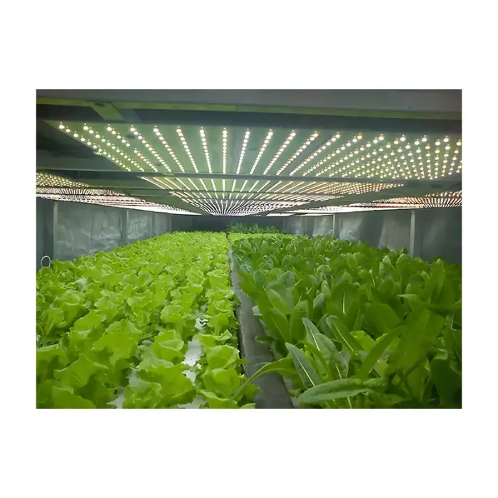 40FT Hydroponic Vertical System Shipping Container for Vegetable Growing Container Room Plant Agricultural