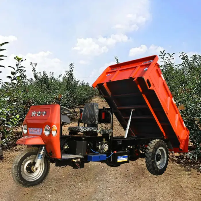 Cargo tricycle docker tricycle motorcycle Tricycle moto 300cc gasoline engine