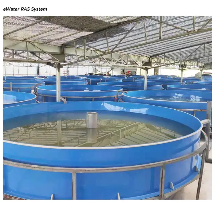 Professional Supplier Aquarium Pond Fish,Recirculating Deep Water Culture Hydro System