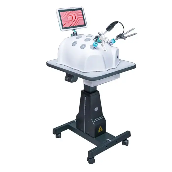 laparoscopic training box endoscopy training simulator trainer box simuladores laparoscopicos laprocopy simulator endotrainer