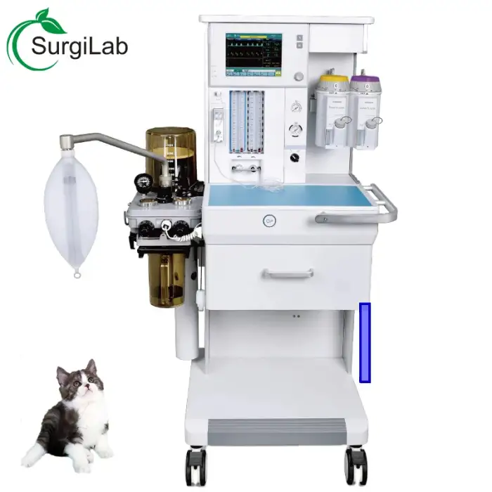 High Quality Veterinary Anesthesia Machine For Clinical Hospital Veterinary Equipment