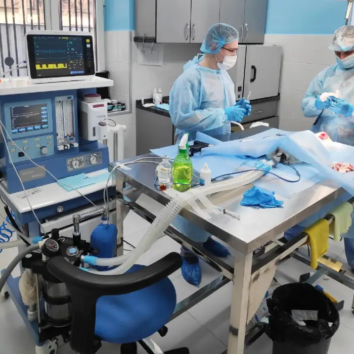 CE Approve Medical Anesthetic machine surgical anestesia machine Hospital Use Anesthesiaa machine