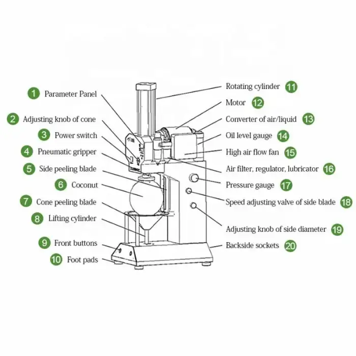 Automatic coconut peeling machine is a precision automatic peeling machine