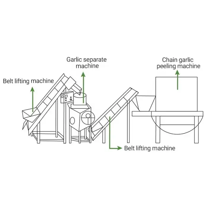 Automatic Fully Garlic Split Clove Break Peel Process Line Plant