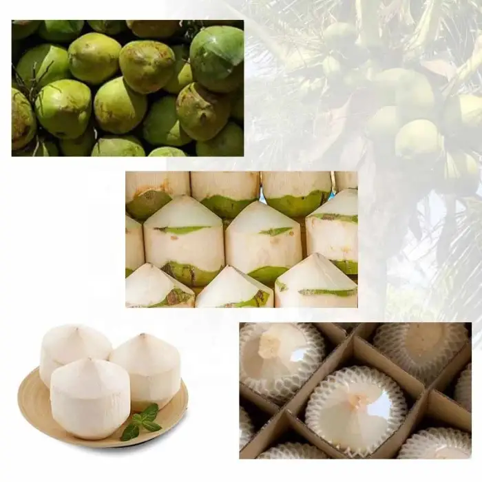 Automatic coconut peeling machine is a precision automatic peeling machine