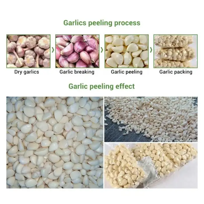 Automatic Fully Garlic Split Clove Break Peel Process Line Plant