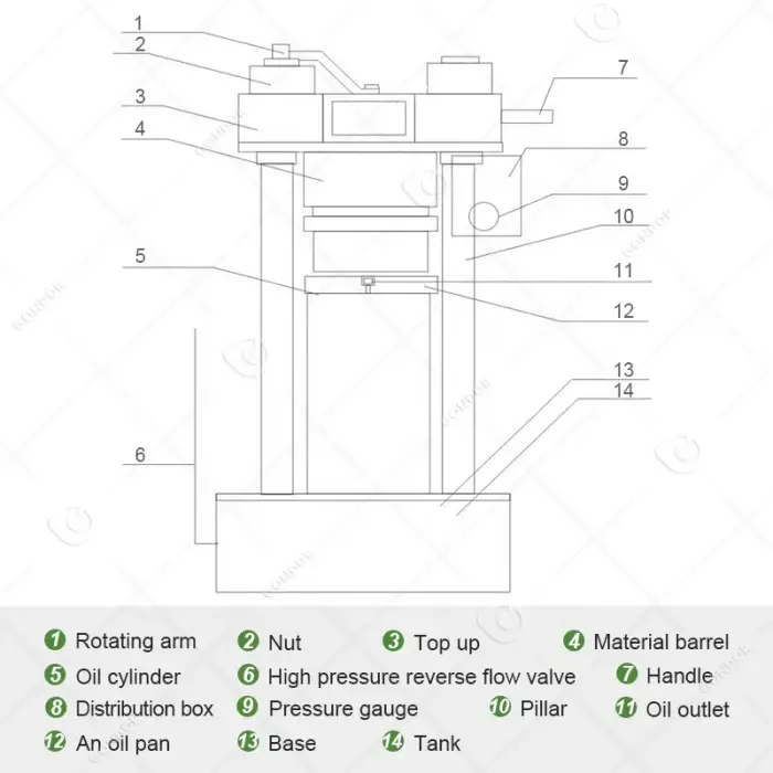 Ground Nut Pressing Walnut Press Presse a Huile Hydraulique Pumpkin Seed Oil Extraction Machine