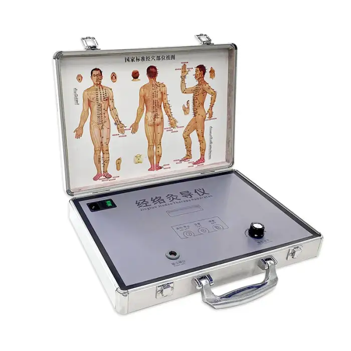 Pulse physiotherapy machines magnetotherapy equipment dds magnetic therapy device bioelectric treatment for pain relief