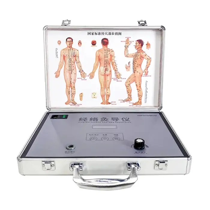 Pulse physiotherapy machines magnetotherapy equipment dds magnetic therapy device bioelectric treatment for pain relief