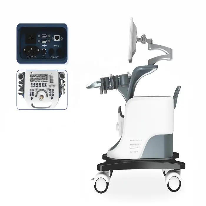 LTUB66 Medical Ultrasound Instruments Usb 4D Trolley Urology Heart Cardiac USG Machine For Ultrasound