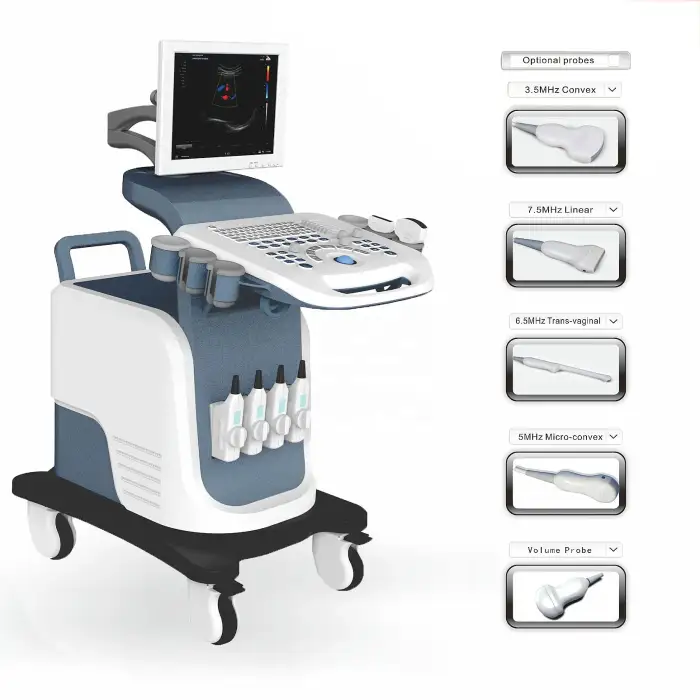 LTUB66 Medical Ultrasound Instruments Usb 4D Trolley Urology Heart Cardiac USG Machine For Ultrasound