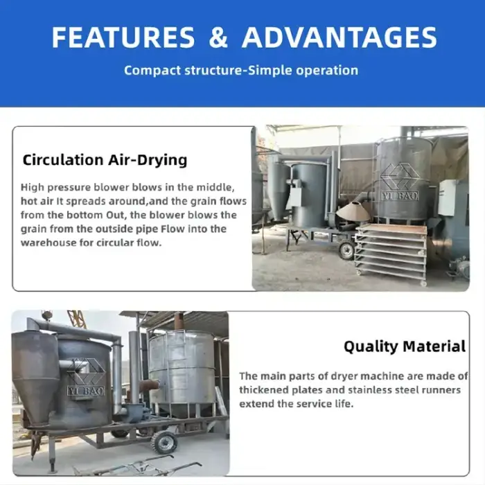 Drying Dryer Machine High Efficiency Fruits And Vegetables Vacuum Drying Machine