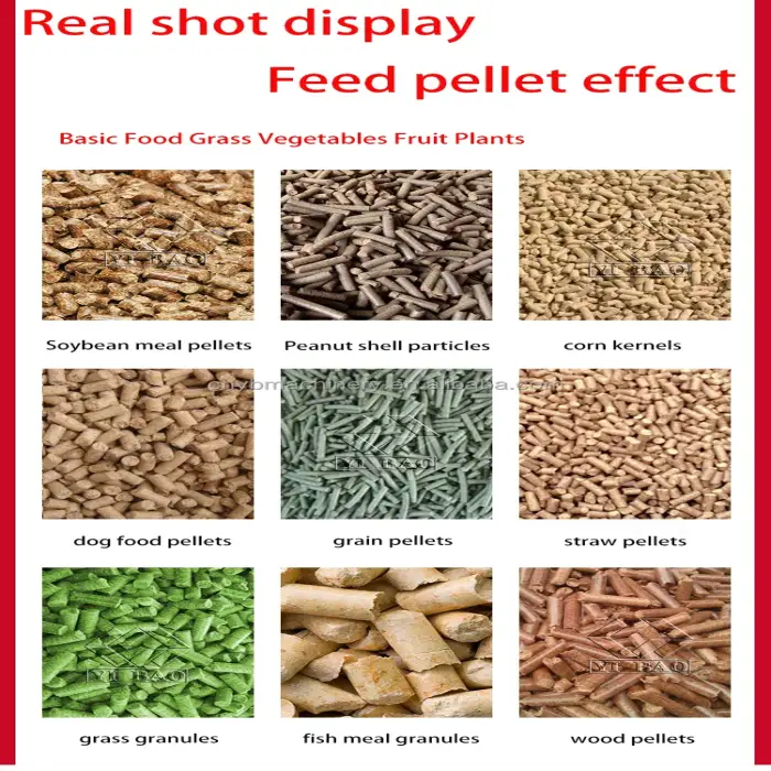 Low Price Expand the feed inlet  Animal Husbandry Animal Feed Pellet Machine Feed Processing