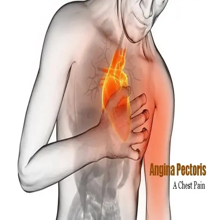 Bioresonance Therapy Machine EECP Heart Therapy Machine