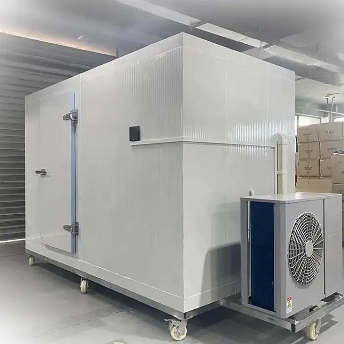 Commercial storage industrial refrigerator equipment walk in freezer cold room for fish meat