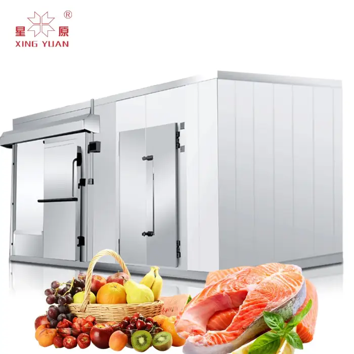 walk in cold freezer room price   cold store for fruit and vegetables freezer cold room