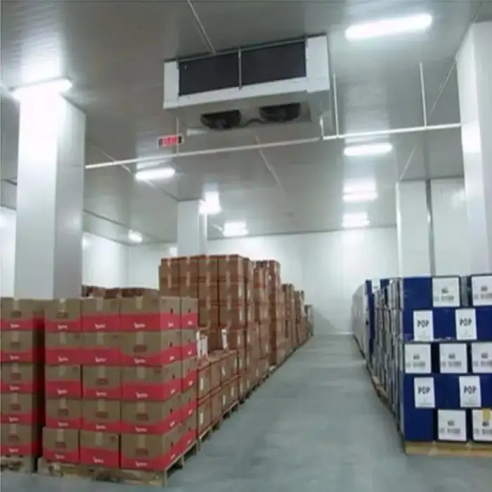 20ft 40ft Blast Walk-in Freezer Cold Storage Container with 380V Refrigeration Unit for Home Use Meat Fish Cold Room