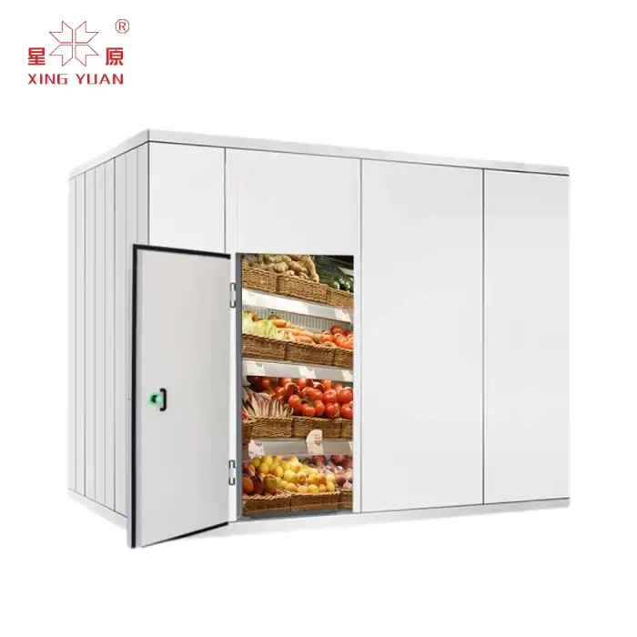 walk in cold freezer room price   cold store for fruit and vegetables freezer cold room