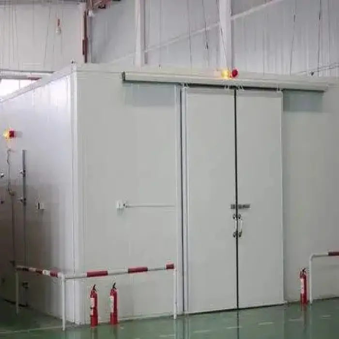 20ft 40ft Blast Walk-in Freezer Cold Storage Container with 380V Refrigeration Unit for Home Use Meat Fish Cold Room