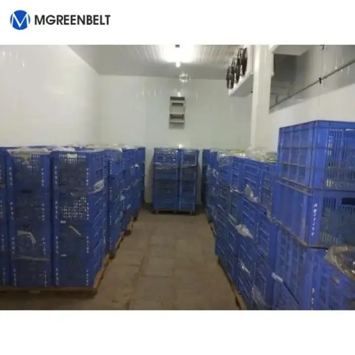 Walk-in industrial refrigeration unit chamber freezer room cold room Size: (6.3 x 4.3 x 2.7 m)  foor fish and poultry