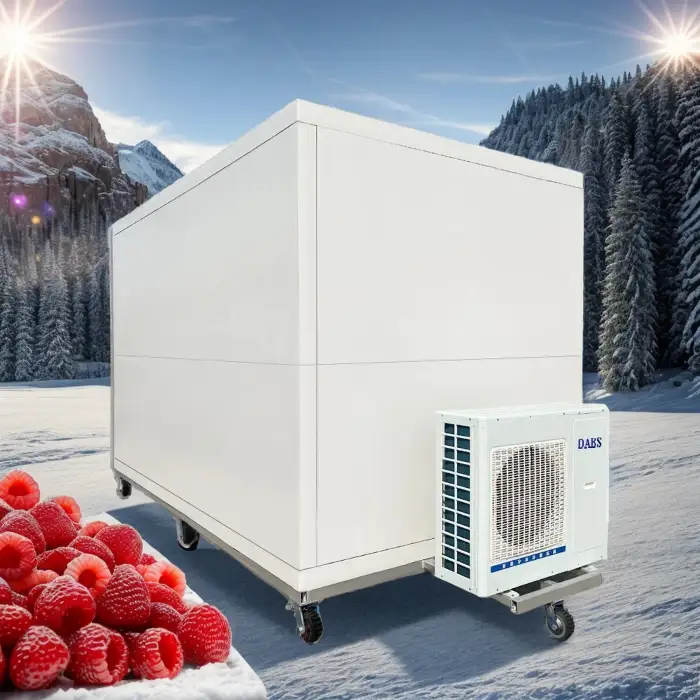 20ft 40ft Blast Walk-in Freezer Cold Storage Container with 380V Refrigeration Unit for Home Use Meat Fish Cold Room