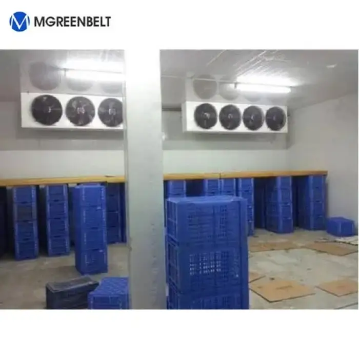 Walk-in industrial refrigeration unit chamber freezer room cold room Size: (6.3 x 4.3 x 2.7 m)  foor fish and poultry