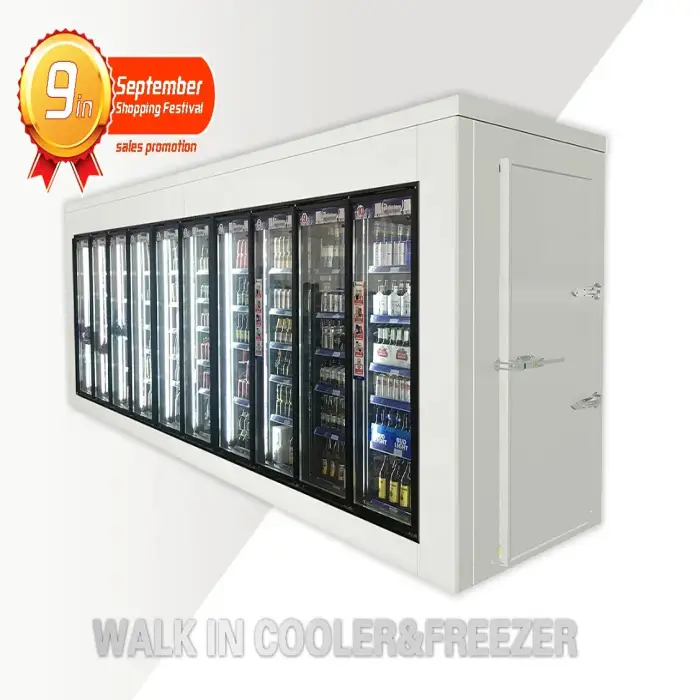 Walk-in cooler freezer upright fridge refrigerator glass doors equipped frame and shelf per door for cold room