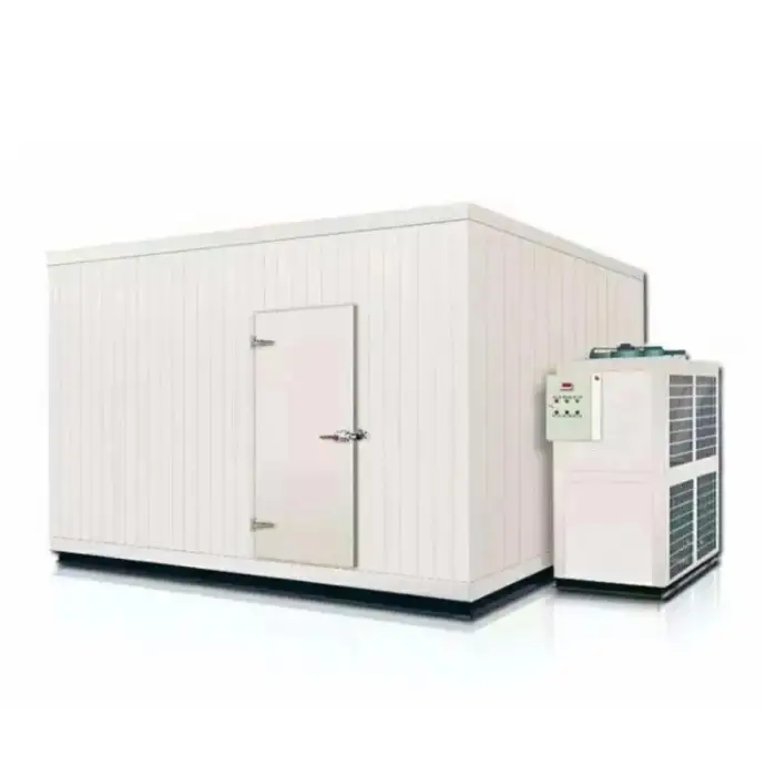 walk-in freezer cold room cold storage for vegetable walk in freezer