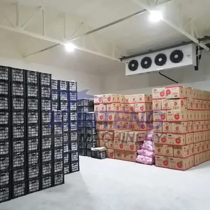 Commercial cold room for hanging meat storage walk in freezer fridge cold warehouse display chill temperature records