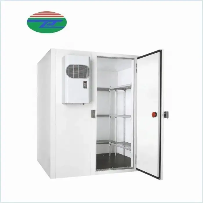 Small refrigerator unit blast freezer walk in chamber chiller fridge commercial cold room storage for fruit meat