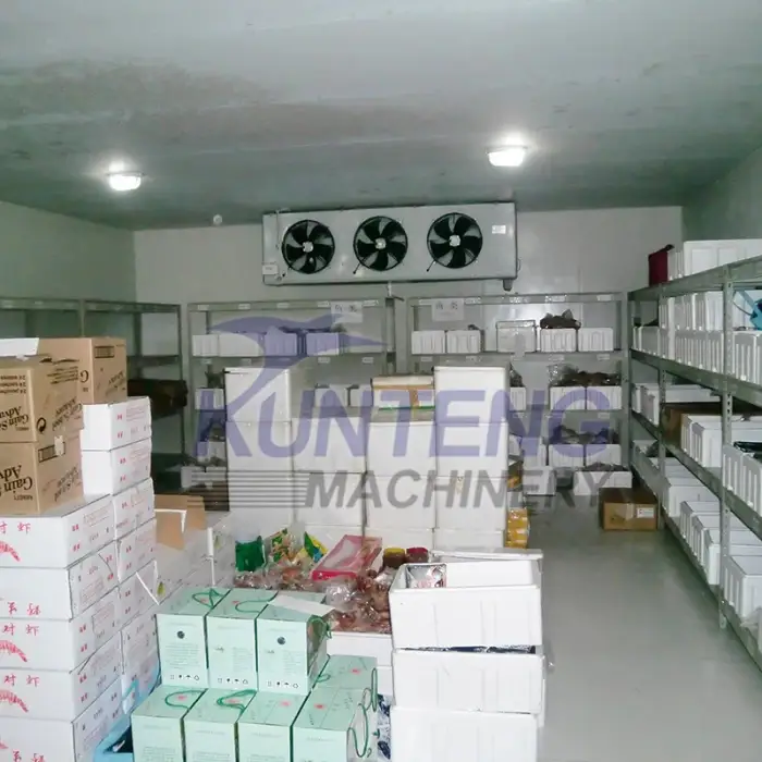 Commercial cold room for hanging meat storage walk in freezer fridge cold warehouse display chill temperature records