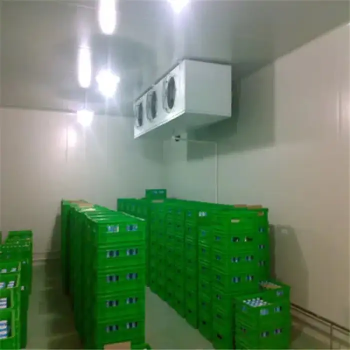 Small refrigerator unit blast freezer walk in chamber chiller fridge commercial cold room storage for fruit meat