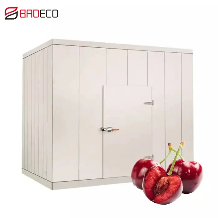 ColdRoom Walk In Cooler Freezer Room,Walk-in Freezer Fridge,Coldroom Chiller Room Walking Cold Room Container