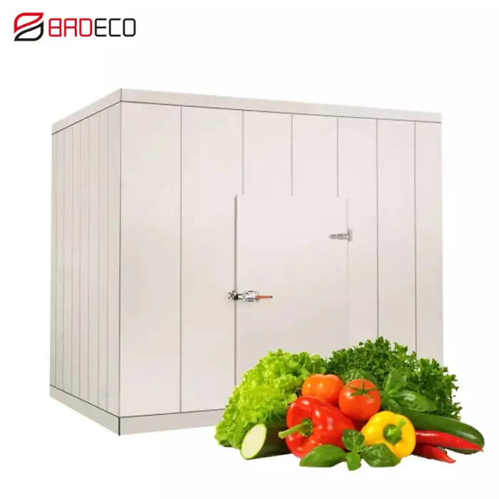 ColdRoom Walk In Cooler Freezer Room,Walk-in Freezer Fridge,Coldroom Chiller Room Walking Cold Room Container