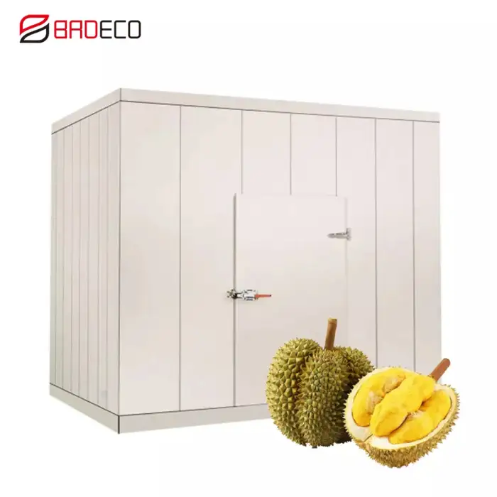 ColdRoom Walk In Cooler Freezer Room,Walk-in Freezer Fridge,Coldroom Chiller Room Walking Cold Room Container