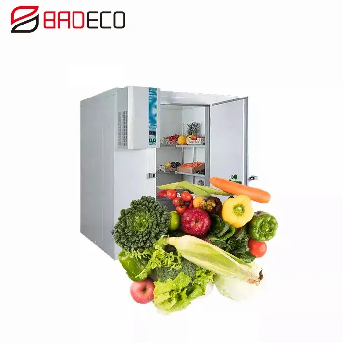 ColdRoom Walk In Cooler Freezer Room,Walk-in Freezer Fridge,Coldroom Chiller Room Walking Cold Room Container