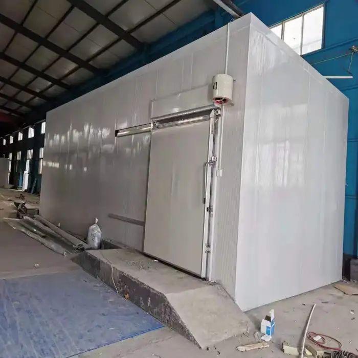 3PH 380V 50HZ Walk-In Cooler  Cold Storage Room With 20 cm PU Panel -30C Blaster Freezer For Meat And Ice-cream 10m x 5m x 5m