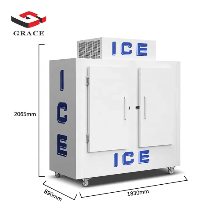 2 Doors Fridge Large Outdoor Bagged Ice Merchandiser Freezer 2.5 Meter High Refrigerators